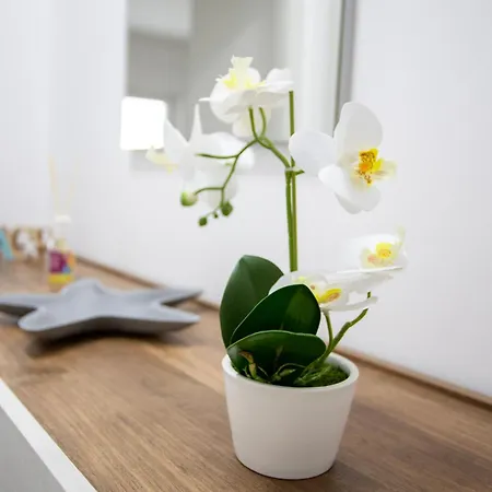 Stromboli Sunset アパート カンポラ・サン・ジョバンニ