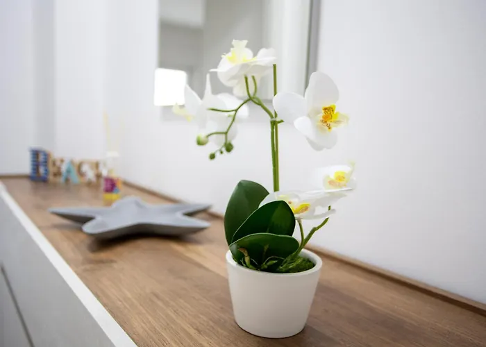 Stromboli Sunset Apartamento Campora San Giovanni