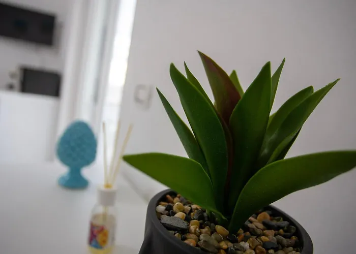 Stromboli Sunset * Campora San Giovanni